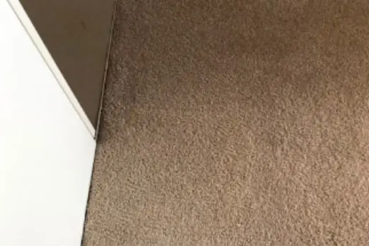 Carpet Cleaning in Craigieburn